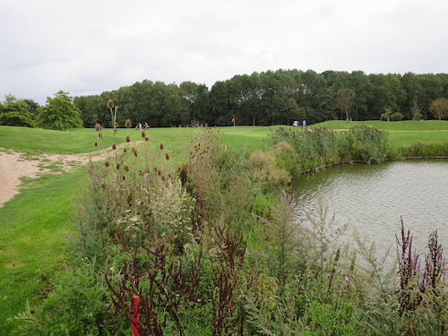 golfbaan leeuwenbergh biodiversiteit