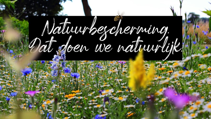 Poster natuur
